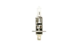 12V H1 55W P14,5s
