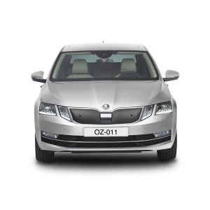 Clona zimná chladiča - Škoda Octavia, 2016-20 / po facelifte